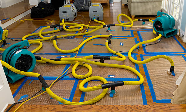 Professional Water Extraction technician working in Watervliet, MI